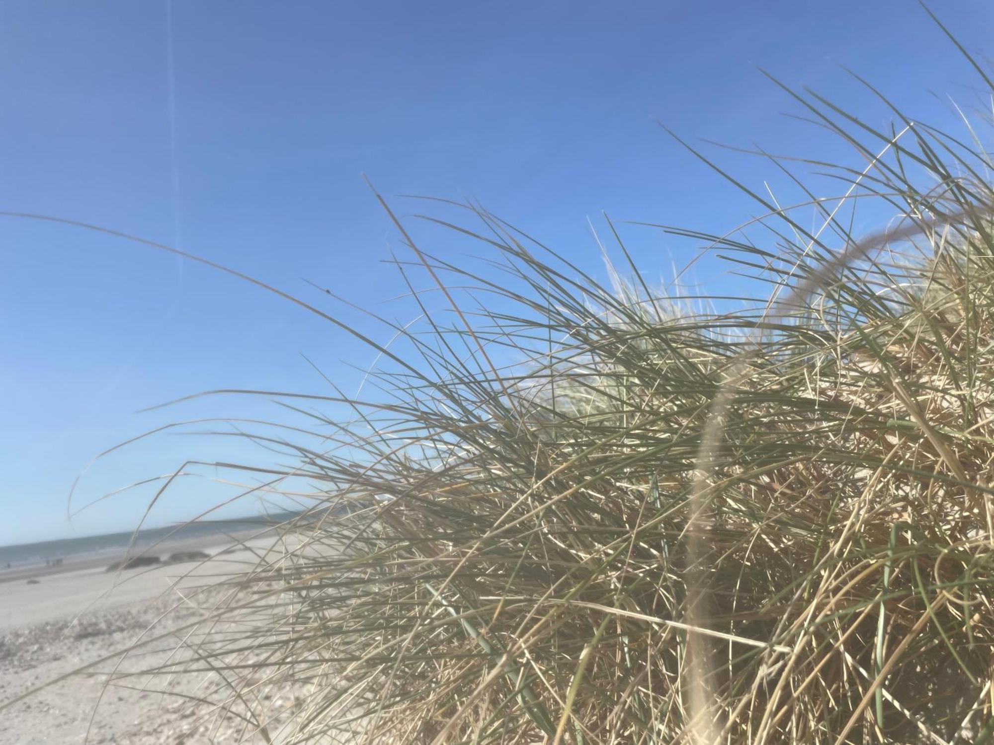 Vue Mer, Golfe Et Dunes- Residence Dunes Du Golfe 维姆勒 外观 照片